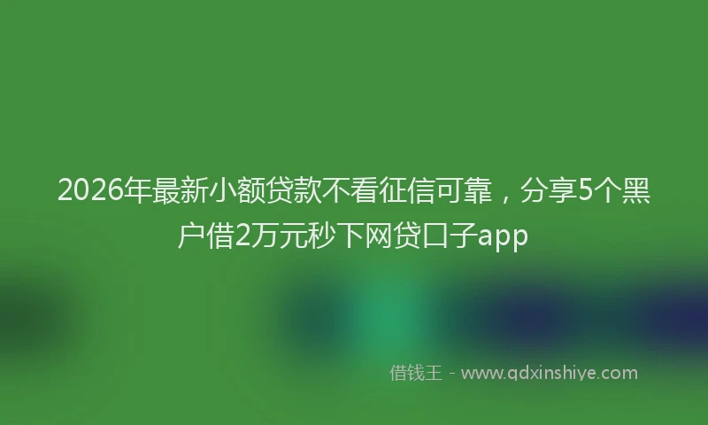 2026年最新小额贷款不看征信可靠，分享5个黑户借2万元秒下网贷口子app