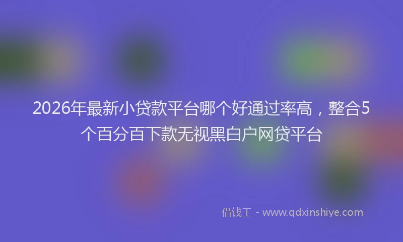 2026年最新小贷款平台哪个好通过率高，整合5个百分百下款无视黑白户网贷平台