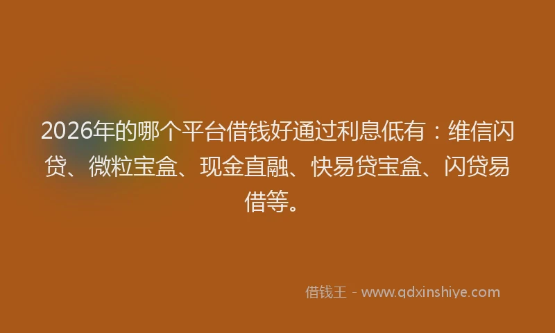 2026年的哪个平台借钱好通过利息低有:维信闪贷、微粒宝盒、现金直融、快易贷宝盒、闪贷易借等。