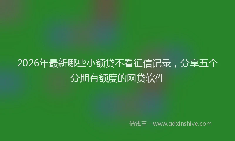 2026年最新哪些小额贷不看征信记录，分享五个分期有额度的网贷软件