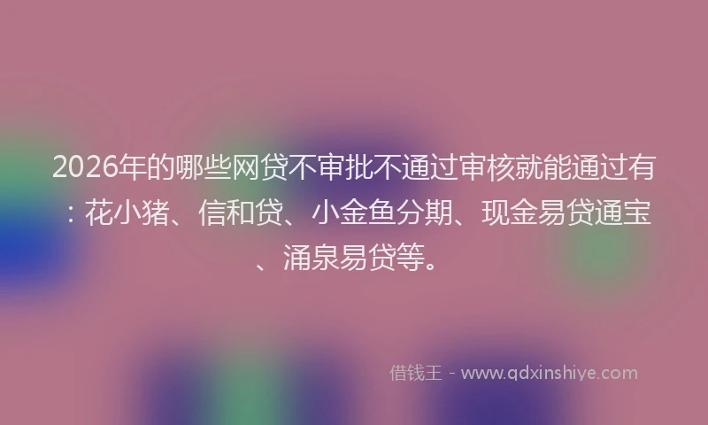 2026年的哪些网贷不审批不通过审核就能通过有：花小猪、信和贷、小金鱼分期、现金易贷通宝、涌泉易贷等。
