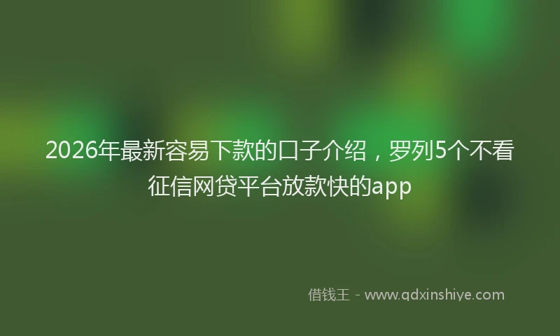 2026年最新容易下款的口子介绍，罗列5个不看征信网贷平台放款快的app