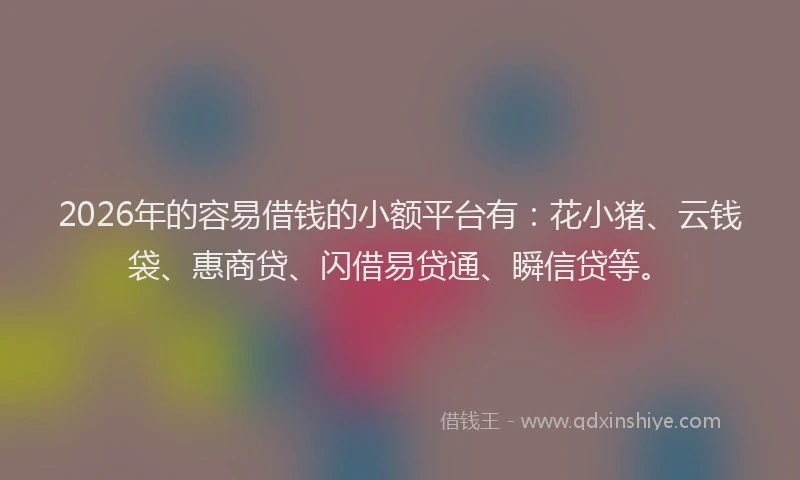 2026年的容易借钱的小额平台有：花小猪、云钱袋、惠商贷、闪借易贷通、瞬信贷等。