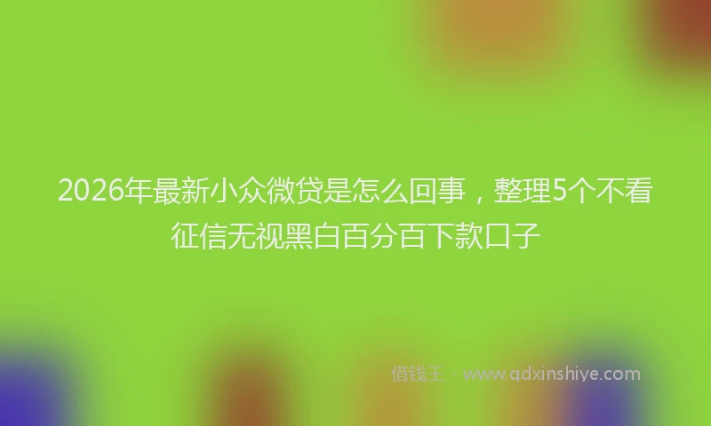 2026年最新小众微贷是怎么回事，整理5个不看征信无视黑白百分百下款口子