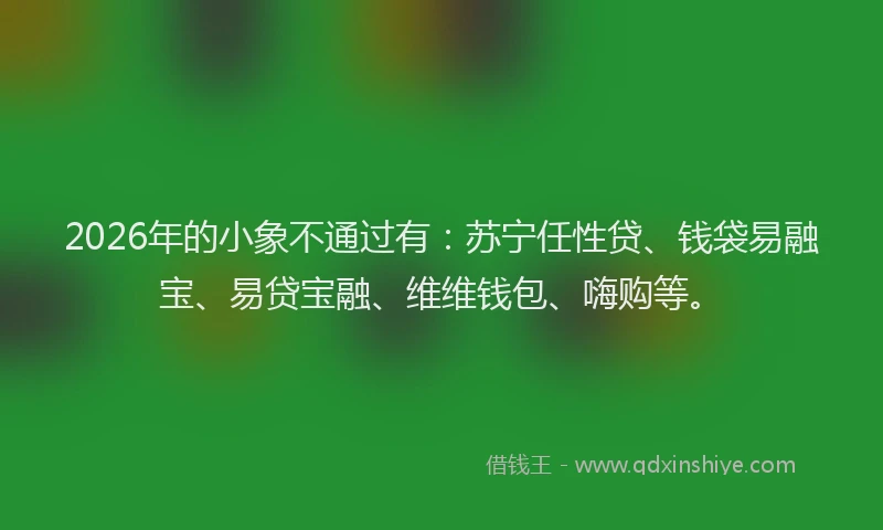 2026年的小象不通过有：苏宁任性贷、钱袋易融宝、易贷宝融、维维钱包、嗨购等。