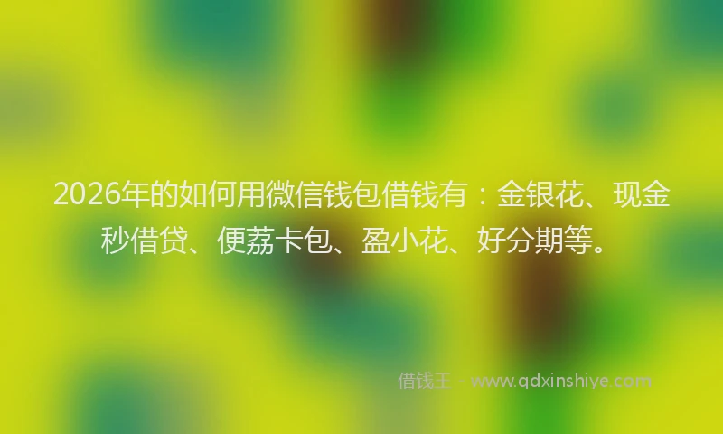 2026年的如何用微信钱包借钱有：金银花、现金秒借贷、便荔卡包、盈小花、好分期等。