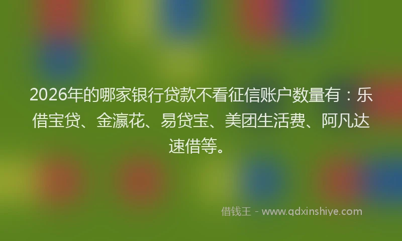 2026年的哪家银行贷款不看征信账户数量有：乐借宝贷、金瀛花、易贷宝、美团生活费、阿凡达速借等。