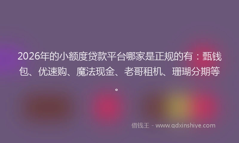 2026年的小额度贷款平台哪家是正规的有：甄钱包、优速购、魔法现金、老哥租机、珊瑚分期等。