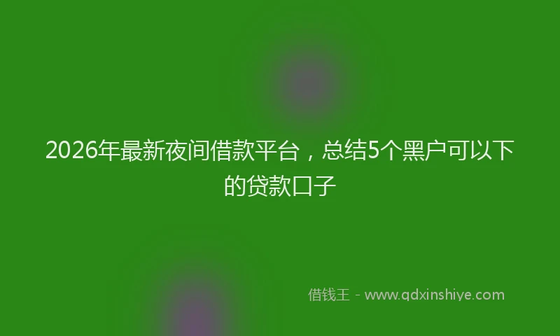 2026年最新夜间借款平台，总结5个黑户可以下的贷款口子