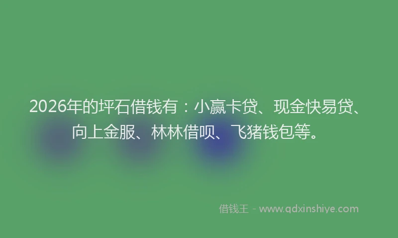 2026年的坪石借钱有：小赢卡贷、现金快易贷、向上金服、林林借呗、飞猪钱包等。