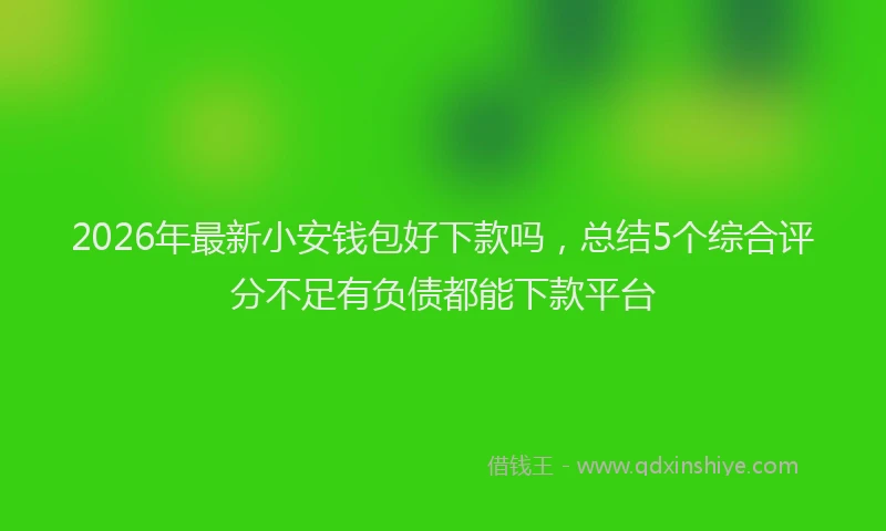 2026年最新小安钱包好下款吗，总结5个综合评分不足有负债都能下款平台