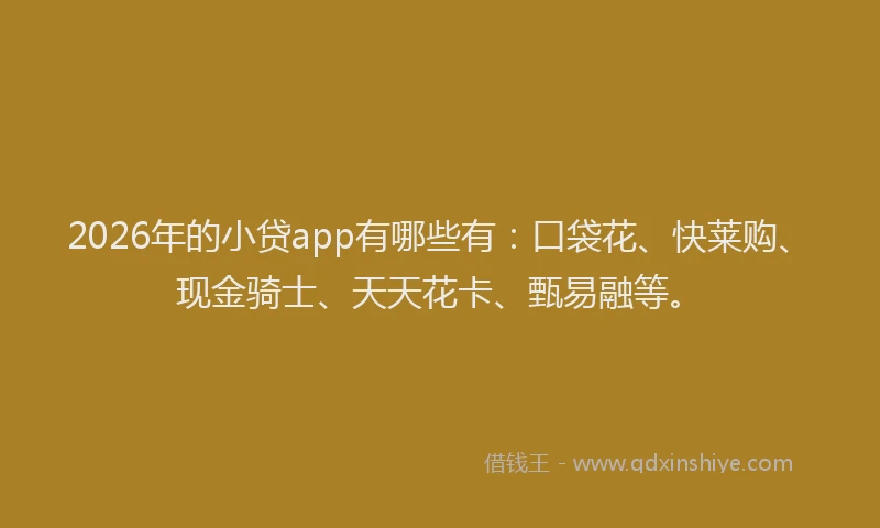 2026年的小贷app有哪些有：口袋花、快莱购、现金骑士、天天花卡、甄易融等。