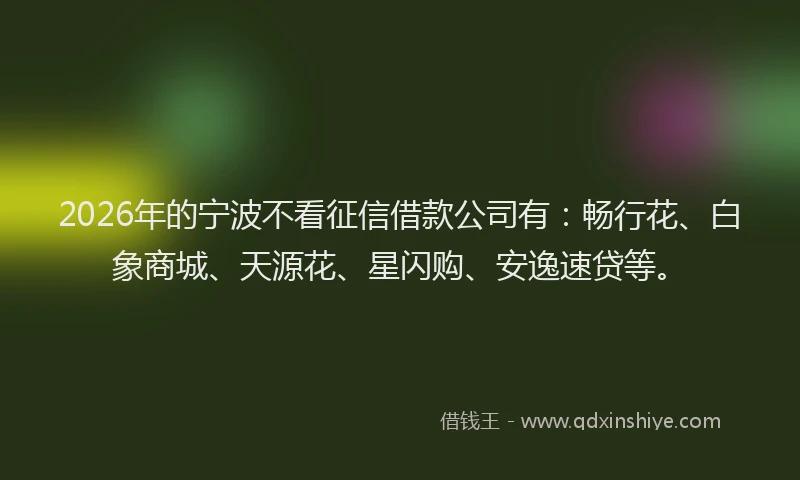2026年的宁波不看征信借款公司有：畅行花、白象商城、天源花、星闪购、安逸速贷等。