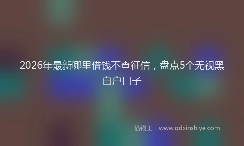 2026年最新哪里借钱不查征信,盘点5个无视黑白户口子