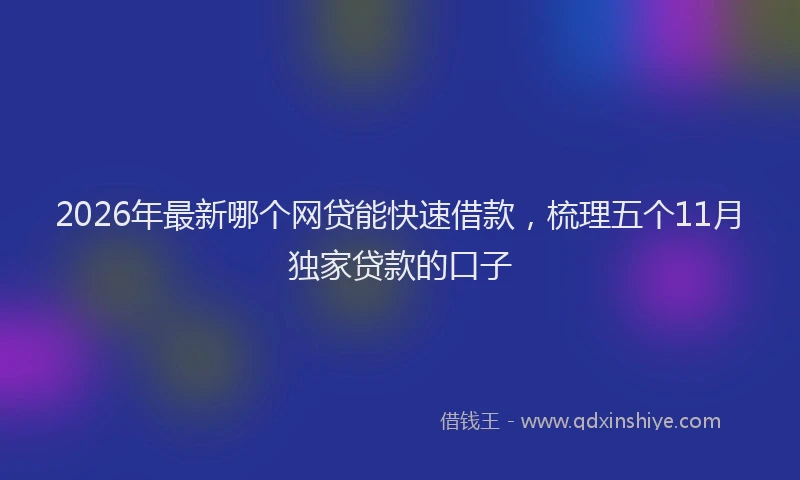 2026年最新哪个网贷能快速借款，梳理五个11月独家贷款的口子