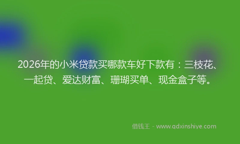 2026年的小米贷款买哪款车好下款有：三枝花、一起贷、爱达财富、珊瑚买单、现金盒子等。