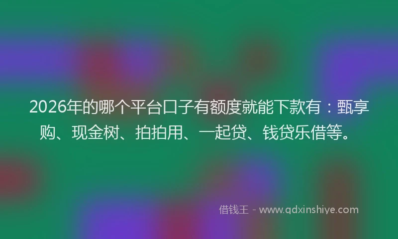 2026年的哪个平台口子有额度就能下款有:甄享购、现金树、拍拍用、一起贷、钱贷乐借等。