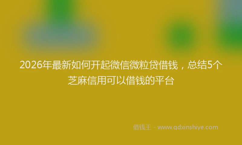 2026年最新如何开起微信微粒贷借钱，总结5个芝麻信用可以借钱的平台