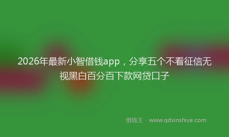 2026年最新小智借钱app，分享五个不看征信无视黑白百分百下款网贷口子