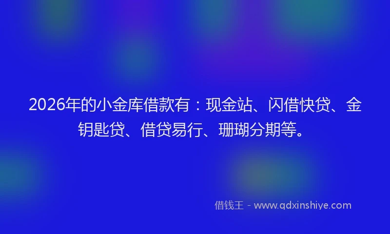 2026年的小金库借款有：现金站、闪借快贷、金钥匙贷、借贷易行、珊瑚分期等。