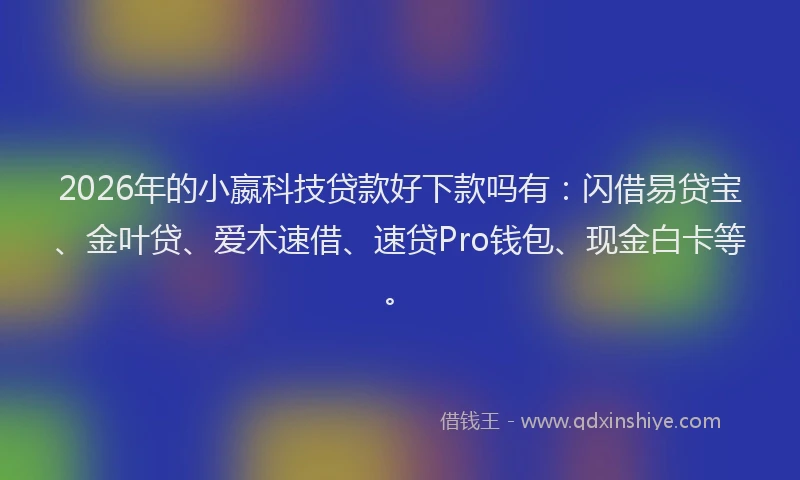 2026年的小嬴科技贷款好下款吗有：闪借易贷宝、金叶贷、爱木速借、速贷Pro钱包、现金白卡等。