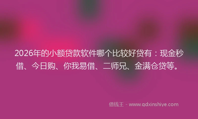 2026年的小额贷款软件哪个比较好贷有：现金秒借、今日购、你我易借、二师兄、金满仓贷等。