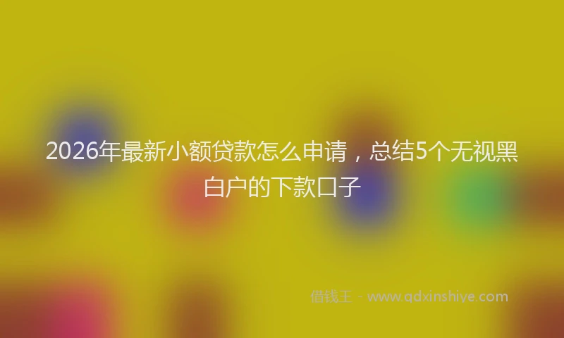 2026年最新小额贷款怎么申请，总结5个无视黑白户的下款口子