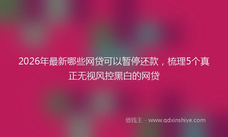 2026年最新哪些网贷可以暂停还款，梳理5个真正无视风控黑白的网贷