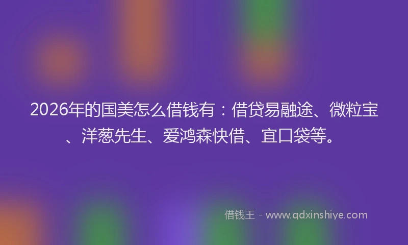 2026年的国美怎么借钱有：借贷易融途、微粒宝、洋葱先生、爱鸿森快借、宜口袋等。