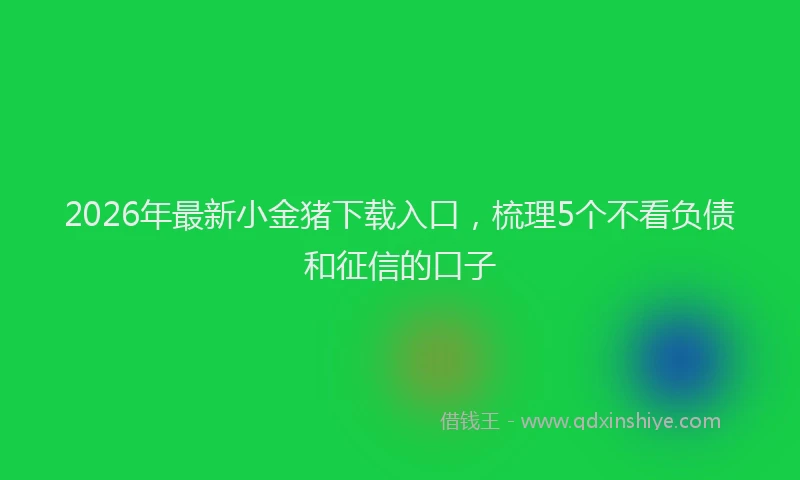 2026年最新小金猪下载入口，梳理5个不看负债和征信的口子
