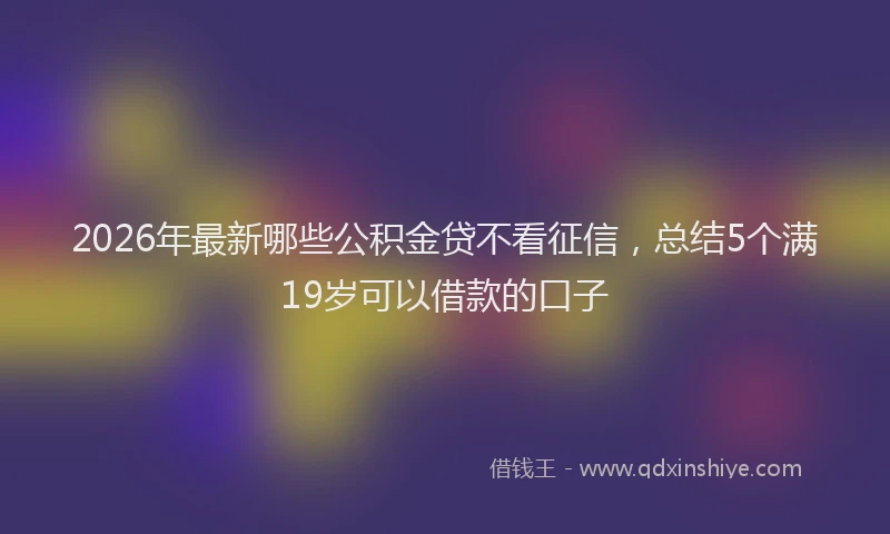 2026年最新哪些公积金贷不看征信，总结5个满19岁可以借款的口子
