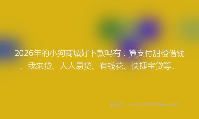 2026年的小狗商城好下款吗有：翼支付甜橙借钱、我来贷、人人易贷、有钱花、快捷宝贷等。