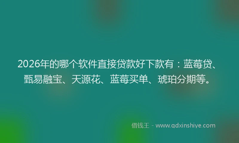 2026年的哪个软件直接贷款好下款有:蓝莓贷、甄易融宝、天源花、蓝莓买单、琥珀分期等。