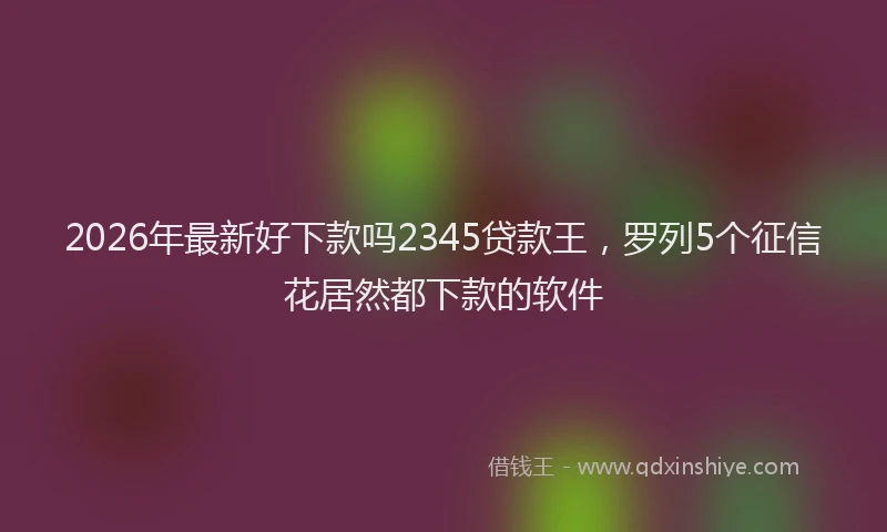 2026年最新好下款吗2345贷款王，罗列5个征信花居然都下款的软件