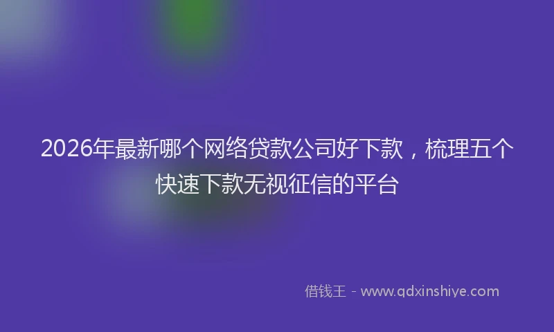 2026年最新哪个网络贷款公司好下款，梳理五个快速下款无视征信的平台