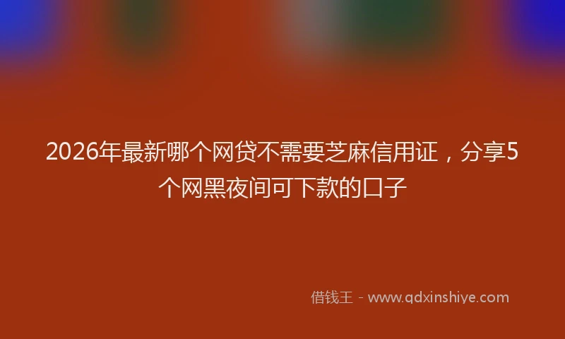 2026年最新哪个网贷不需要芝麻信用证，分享5个网黑夜间可下款的口子