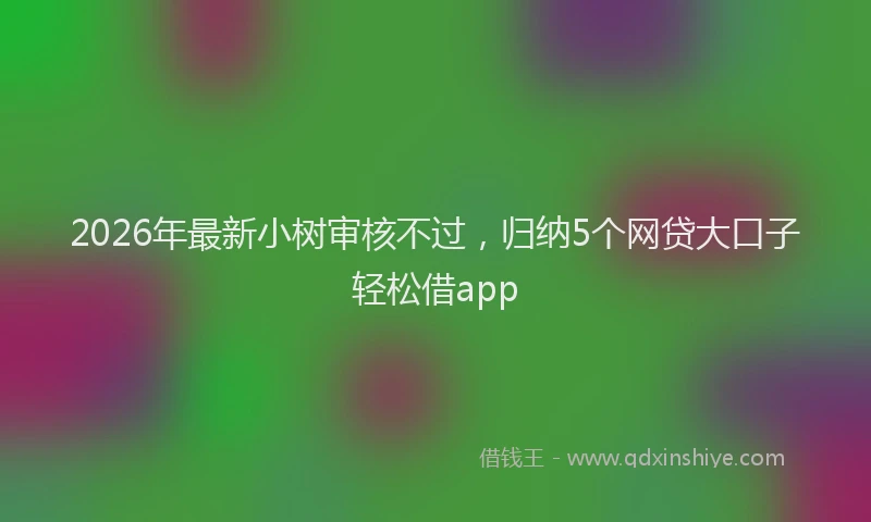 2026年最新小树审核不过，归纳5个网贷大口子轻松借app