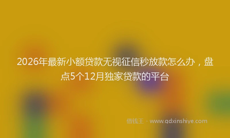 2026年最新小额贷款无视征信秒放款怎么办，盘点5个12月独家贷款的平台