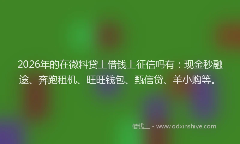 2026年的在微料贷上借钱上征信吗有:现金秒融途、奔跑租机、旺旺钱包、甄信贷、羊小购等。