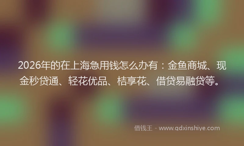 2026年的在上海急用钱怎么办有：金鱼商城、现金秒贷通、轻花优品、桔享花、借贷易融贷等。
