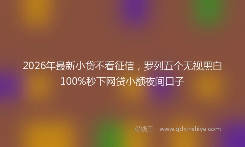 2026年最新小贷不看征信，罗列五个无视黑白100%秒下网贷小额夜间口子