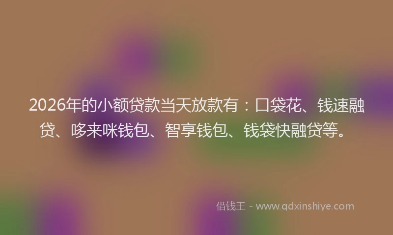 2026年的小额贷款当天放款有：口袋花、钱速融贷、哆来咪钱包、智享钱包、钱袋快融贷等。
