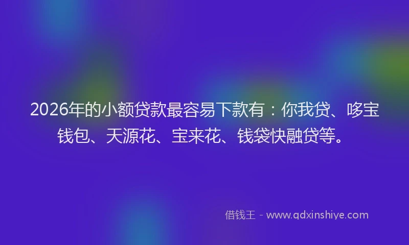 2026年的小额贷款最容易下款有：你我贷、哆宝钱包、天源花、宝来花、钱袋快融贷等。