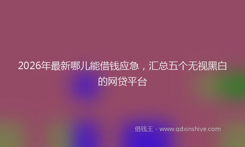 2026年最新哪儿能借钱应急,汇总五个无视黑白的网贷平台