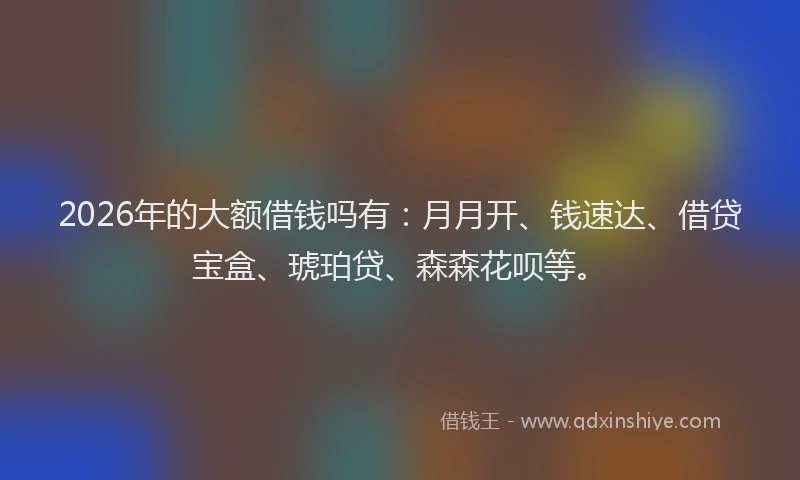 2026年的大额借钱吗有：月月开、钱速达、借贷宝盒、琥珀贷、森森花呗等。