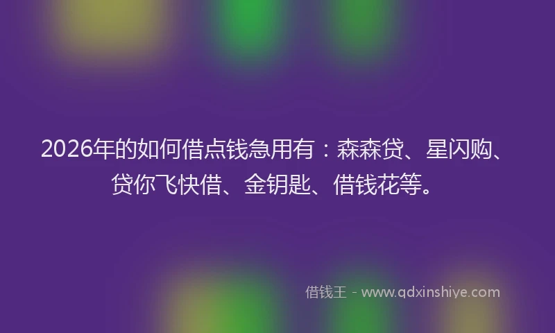 2026年的如何借点钱急用有：森森贷、星闪购、贷你飞快借、金钥匙、借钱花等。