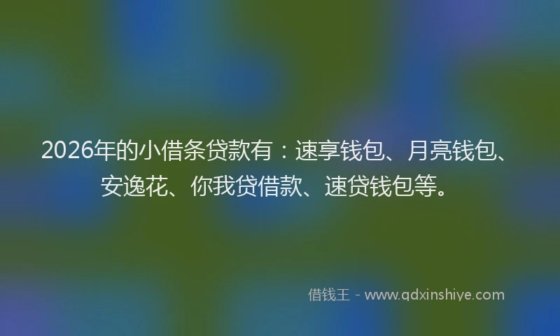 2026年的小借条贷款有：速享钱包、月亮钱包、安逸花、你我贷借款、速贷钱包等。