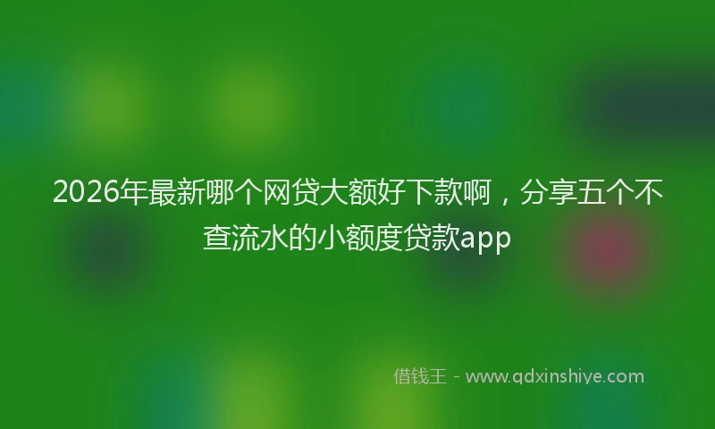 2026年最新哪个网贷大额好下款啊，分享五个不查流水的小额度贷款app