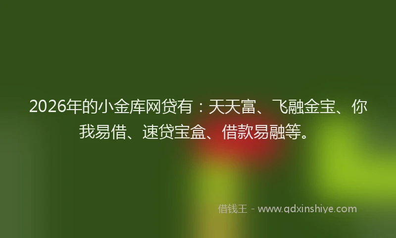 2026年的小金库网贷有：天天富、飞融金宝、你我易借、速贷宝盒、借款易融等。