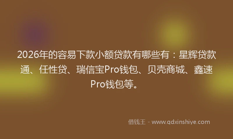 2026年的容易下款小额贷款有哪些有：星辉贷款通、任性贷、瑞信宝Pro钱包、贝壳商城、鑫速Pro钱包等。
